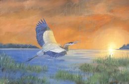 Great Blue Heron Paradise