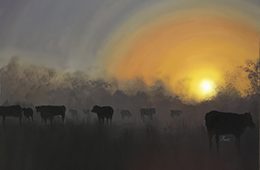 Mystic Cows
